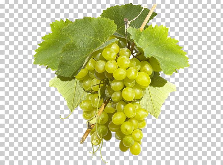 Sultana Common Grape Vine Wine Pisco PNG, Clipart, Common Grape Vine, Food, Food Drinks, Franciacorta, Franciacorta Docg Free PNG Download