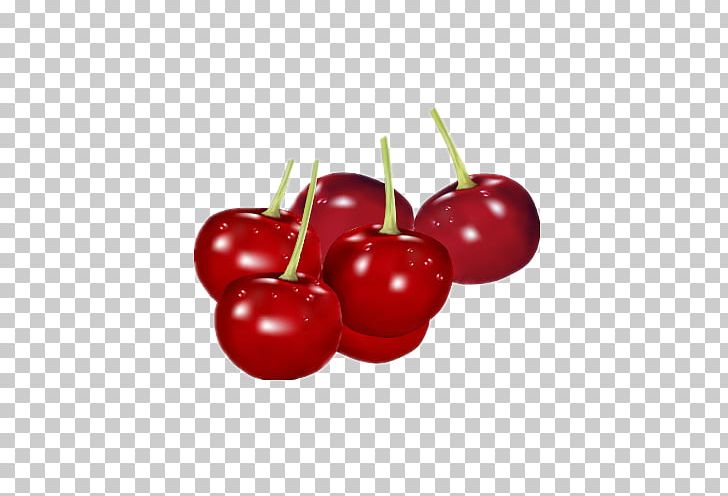 Cherry Fruit Flavor PNG, Clipart, Acerola, Acerola Family, Apple, Auglis, Cerasus Free PNG Download