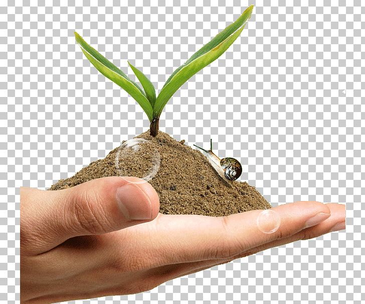 Earth Overshoot Day Natural Environment Ecology Nature PNG, Clipart, Download, Earth, Earth Day, Earth Overshoot Day, Ecology Free PNG Download