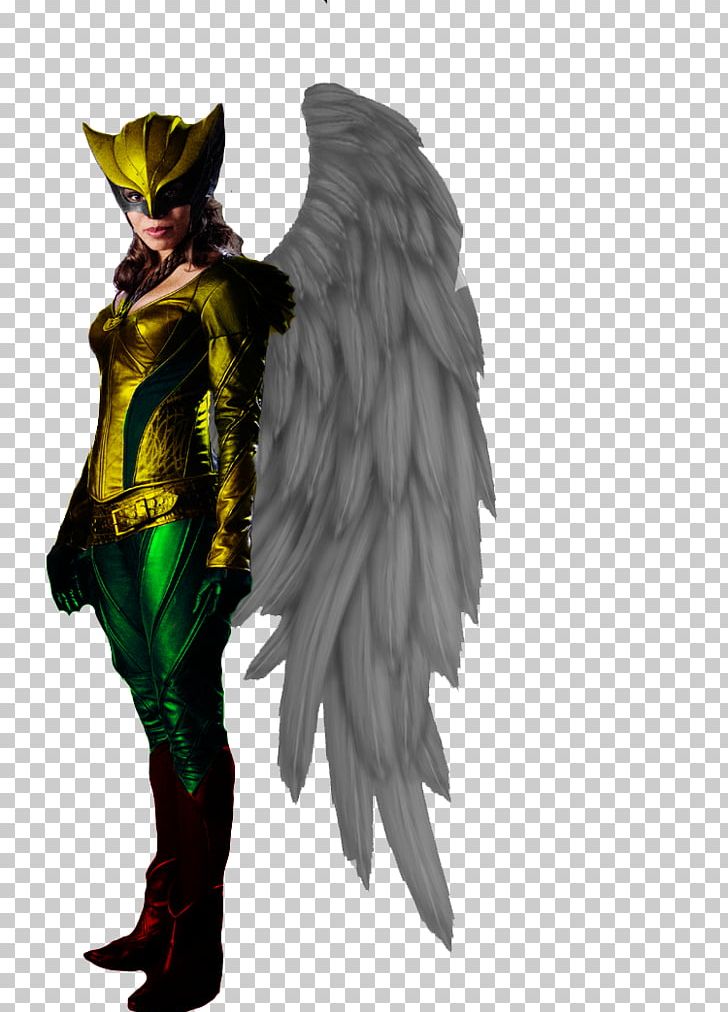 Hawkgirl Injustice: Gods Among Us Commander Steel Comics PNG, Clipart, Armour, Art, Comics, Commander Steel, Costume Free PNG Download