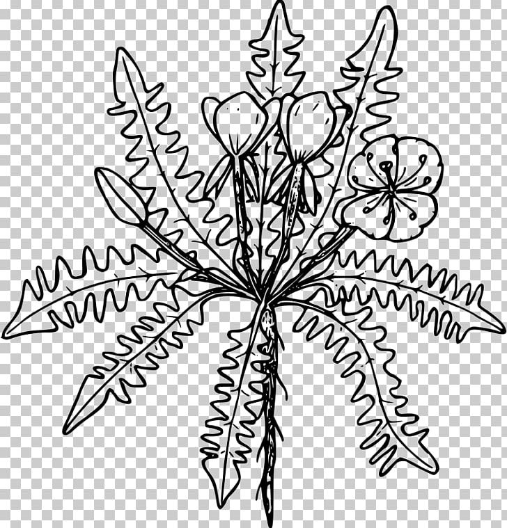 Line Art Drawing Black And White PNG, Clipart, Black And White, Branch, Coloring Book, Drawing, Flora Free PNG Download