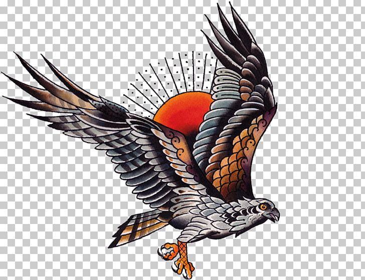 Osprey Tattoo Tattoo Artist Old School (tattoo) PNG, Clipart, Accipitriformes, Bald Eagle, Beak, Bird, Bird Of Prey Free PNG Download