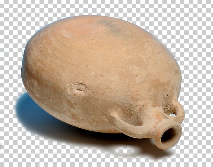 Snout Bone PNG, Clipart, Archaeologist, Bone, Education Science, Miscellaneous, Others Free PNG Download