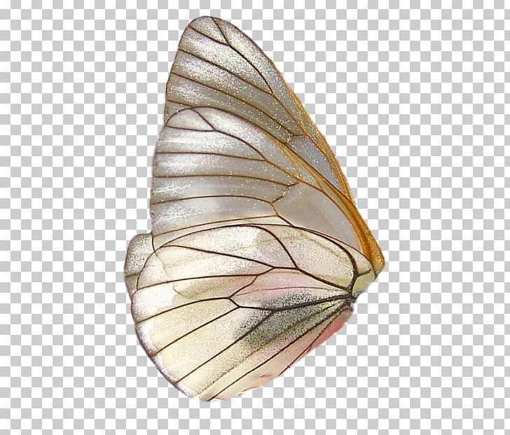 Butterfly Insect Portable Network Graphics Wing PNG, Clipart, Bug, Butterflies And Moths, Butterfly, Computer Icons, Desktop Wallpaper Free PNG Download