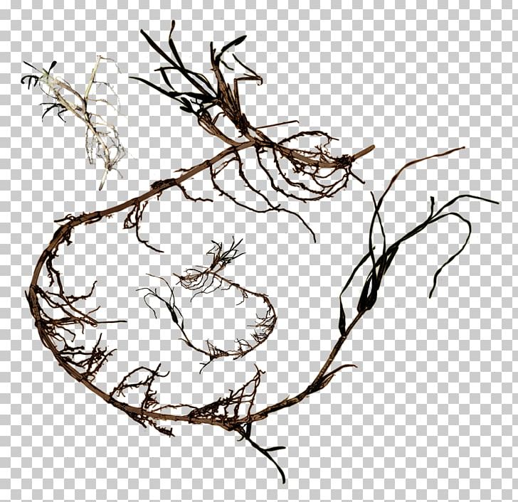 Line Art Tree PNG, Clipart, Art, Artwork, Beak, Bird, Bird Nest Free PNG Download