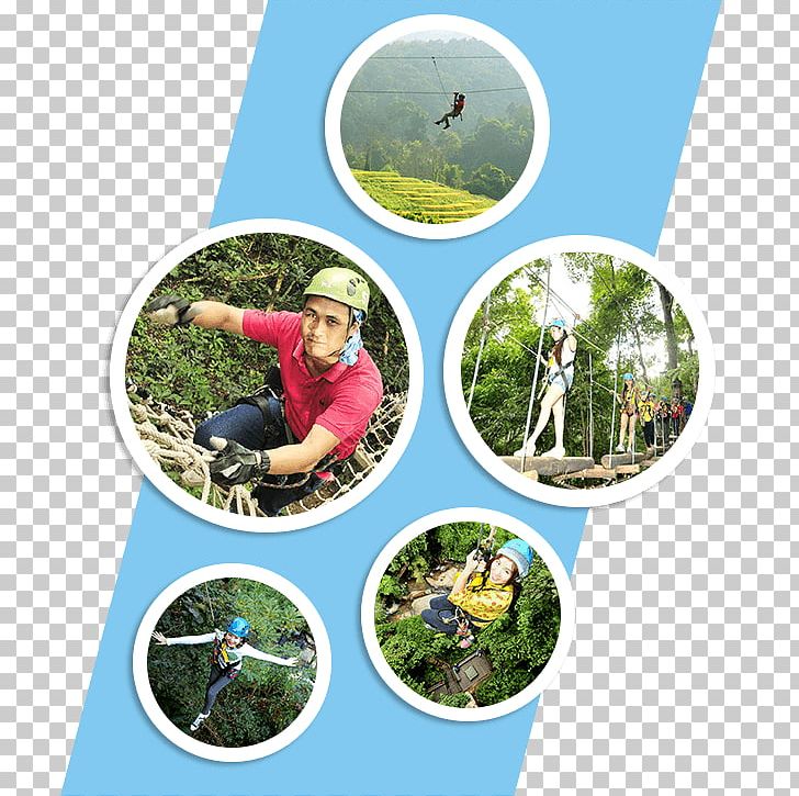 Chiang Mai Tourism Ecosystem Jungle Rainforest PNG, Clipart, Biologist, Biology, Chiang Mai, Continent, Costa Rica Free PNG Download