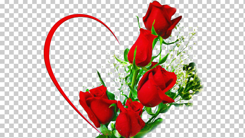 Rainbow Rose PNG, Clipart, Blue Rose, Cut Flowers, Floral Design, Flower, Flower Bouquet Free PNG Download