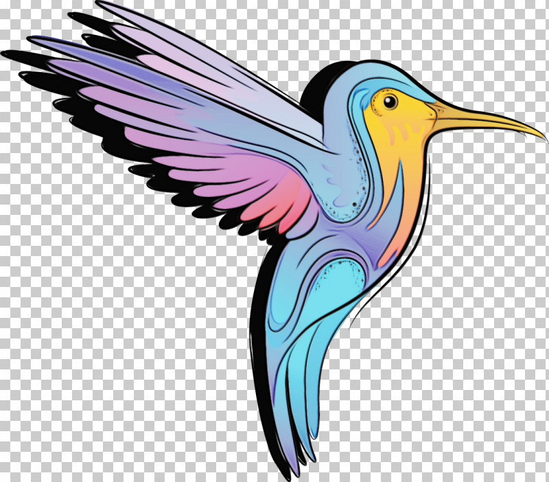 Feather PNG, Clipart, Beak, Feather, Hummingbirds, Paint, Pollinator Free PNG Download