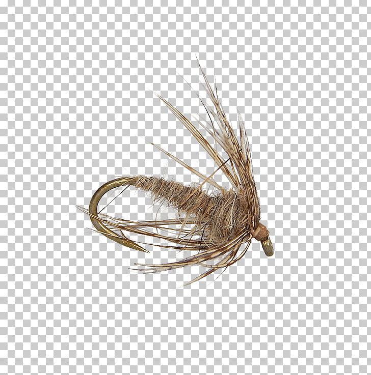 Artificial Fly Hare's Ear Insect Holly Flies PNG, Clipart, Animals, Artificial Fly, Ear, Email, Hare Free PNG Download
