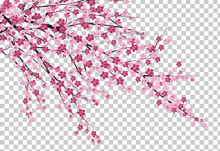 Cherry Blossom Sakura No Hanabiratachi Wall Painting PNG, Clipart, Adobe Illustrator, Animation, Area, Blossom, Blossoms Free PNG Download