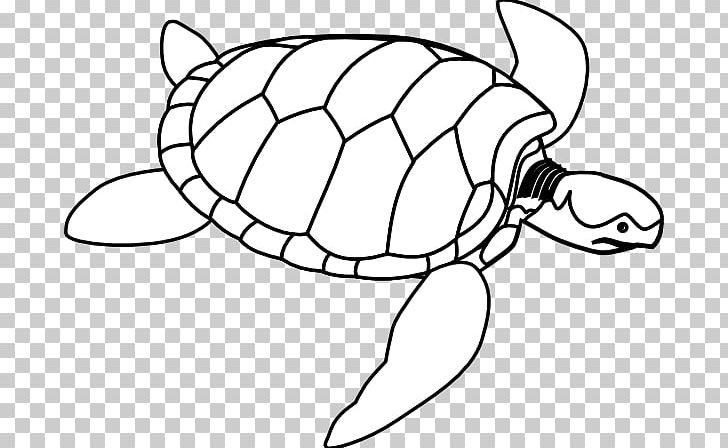 Green Sea Turtle PNG, Clipart, Area, Artwork, Ball, Black And White, Circle Free PNG Download