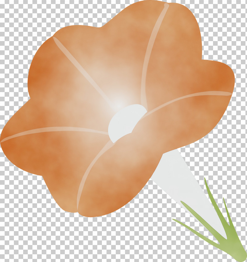 Petal Flower Plant Anthurium Peach PNG, Clipart, Anthurium, Flower, Heart, Morning Glory Flower, Paint Free PNG Download