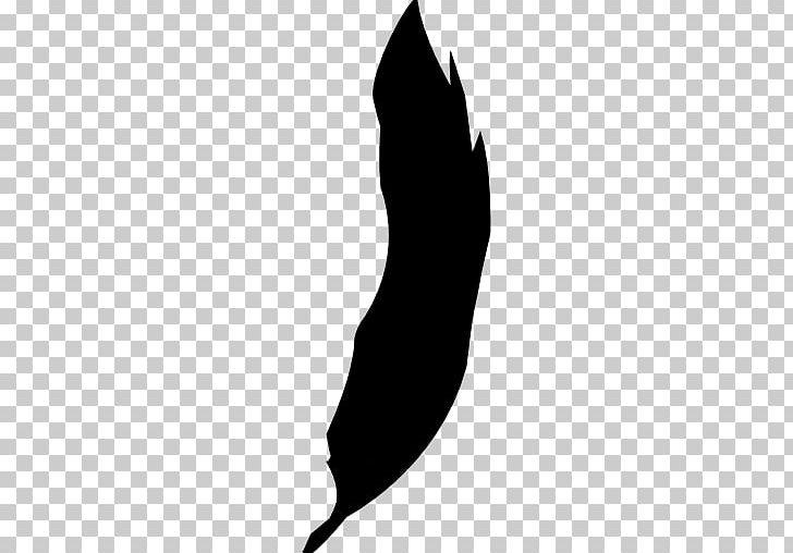 Bird Feather Silhouette Photography Drawing PNG, Clipart, Animal, Animals, Bird, Black, Black And White Free PNG Download