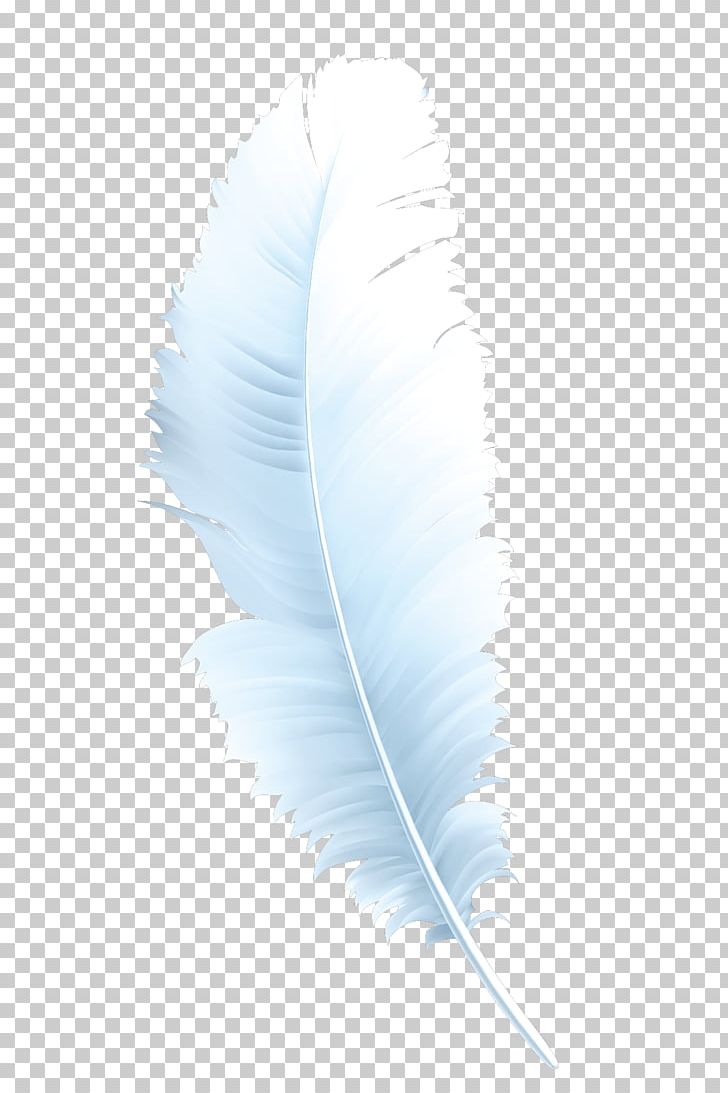 Feather Microsoft Azure PNG, Clipart, Animals, Creative Background, Creative Graphics, Creative Logo Design, Creative Vector Free PNG Download