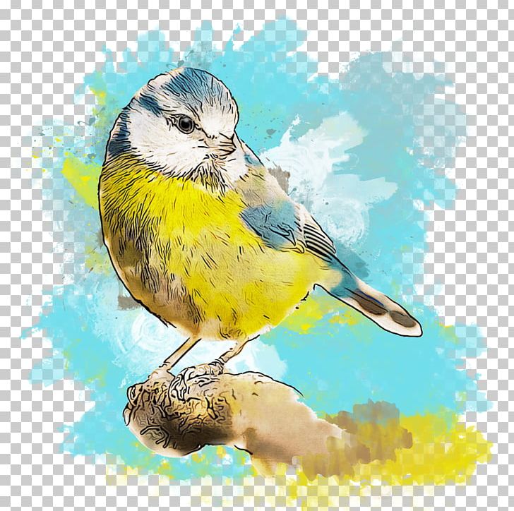 Finch Bird American Sparrows Beak Watercolor Painting PNG, Clipart, American Sparrows, Animal, Animals, Beak, Bird Free PNG Download