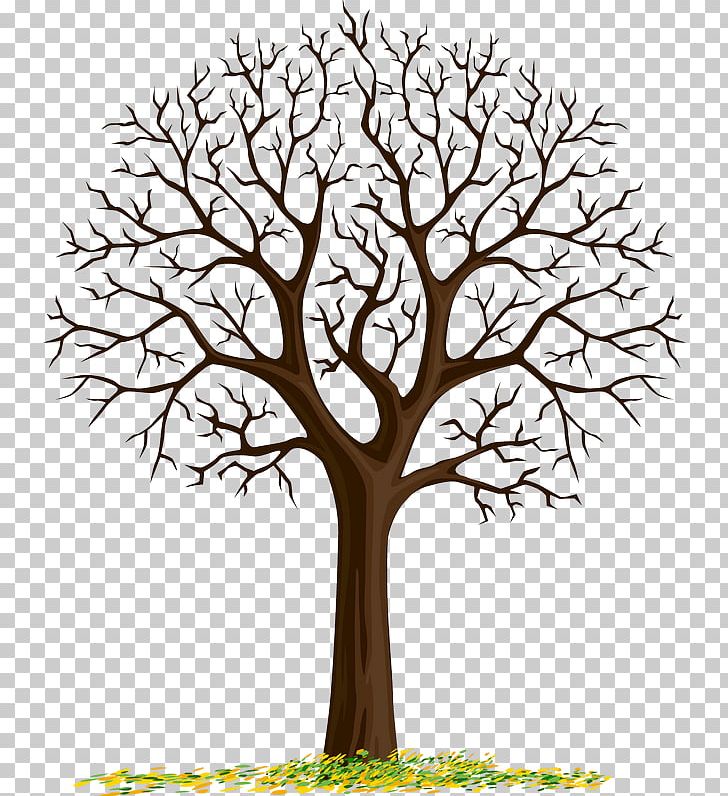 Fingerprint Tree Template Wedding PNG, Clipart, Black And White, Branch