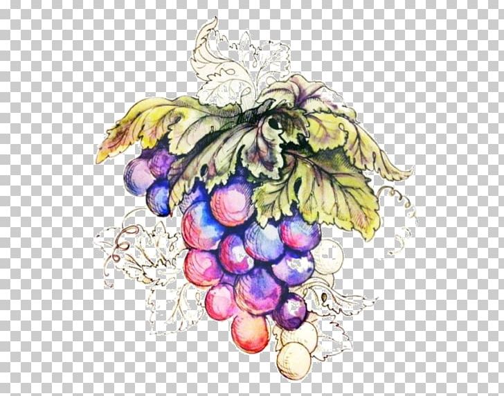 Grape Kyoho PNG, Clipart, Art, Christmas Ornament, Decorated, Decorated , Food Free PNG Download