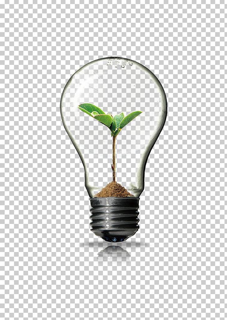 Light Innovation PNG, Clipart, Bulb, Bulb Vector, Christmas Lights, Energy, Germination Free PNG Download