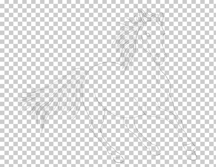 Mustang .to Stallion Pack Animal Sketch PNG, Clipart, 21 October, Artwork, Black And White, Character, Colt Free PNG Download