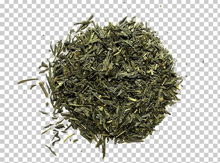 Gyokuro Nilgiri Tea Oolong Earl Grey Tea PNG, Clipart, Assam Tea, Bai Mudan, Bancha, Biluochun, Ceylon Tea Free PNG Download
