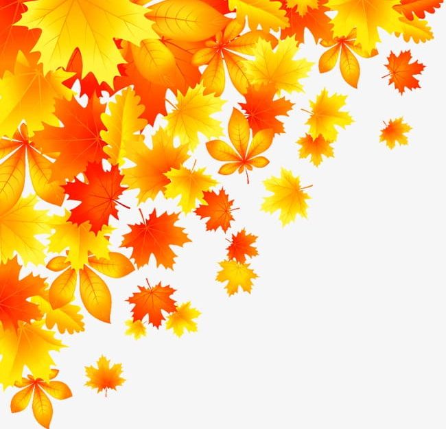 Autumn Maple Leaves PNG, Clipart, Autumn, Autumn Clipart, Autumn Clipart, Leaf, Leaves Clipart Free PNG Download