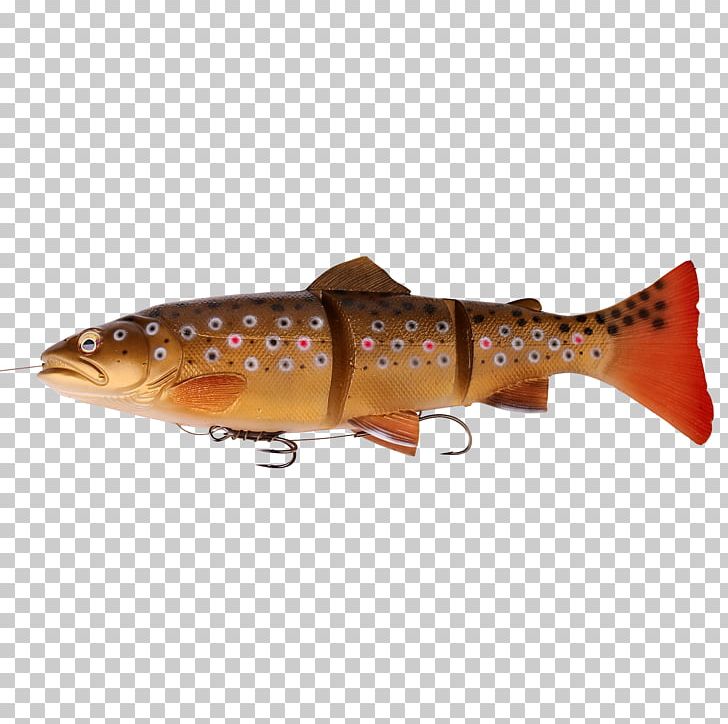 Fishing Baits & Lures Trout Northern Pike PNG, Clipart, Animal Source Foods, Bait, Bony Fish, Brown Trout, Cutthroat Trout Free PNG Download