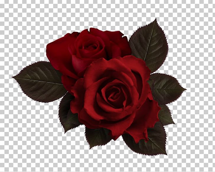 Flower Rose Petal PNG, Clipart, Bonbones, Chart, Color Balance, Computer Graphics, Cut Flowers Free PNG Download