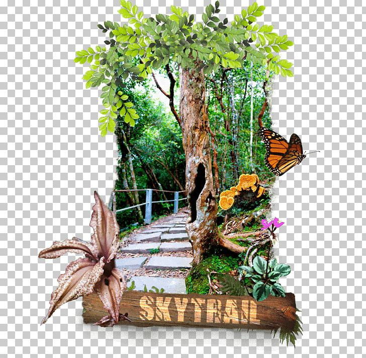 Langkawi Cable Car Panorama Langkawi Sdn. Bhd. Langkawi Sky Bridge Sky Bridge Cable Car Station PNG, Clipart, Asia, Cable Car, Dates, Flora, Flower Free PNG Download