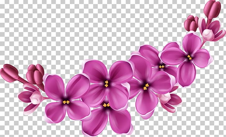 Purple Health Products Centre Flower PNG, Clipart, Art, Blossom, Cut Flowers, Floral Design, Flower Free PNG Download