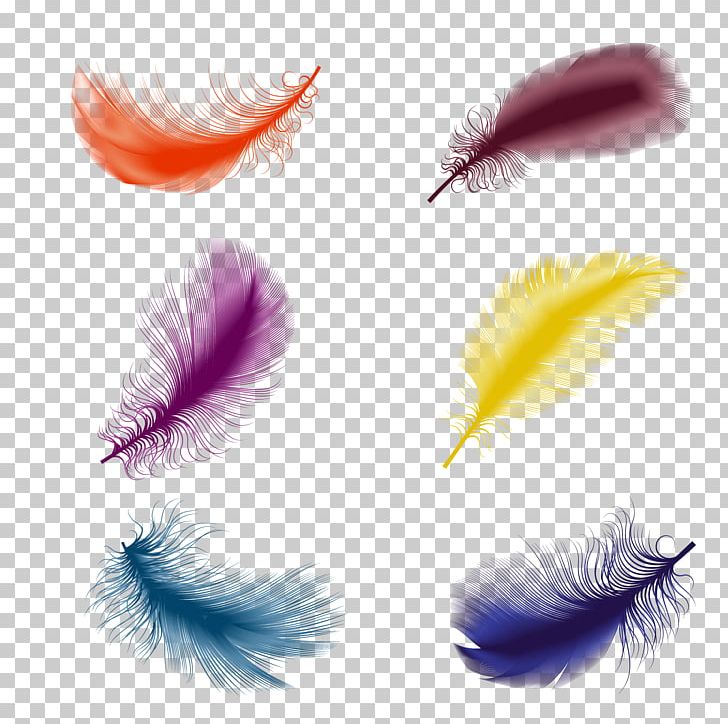 Bird Feather Drawing Illustration PNG, Clipart, Animals, Bird, Color, Down Feather, Drawing Free PNG Download