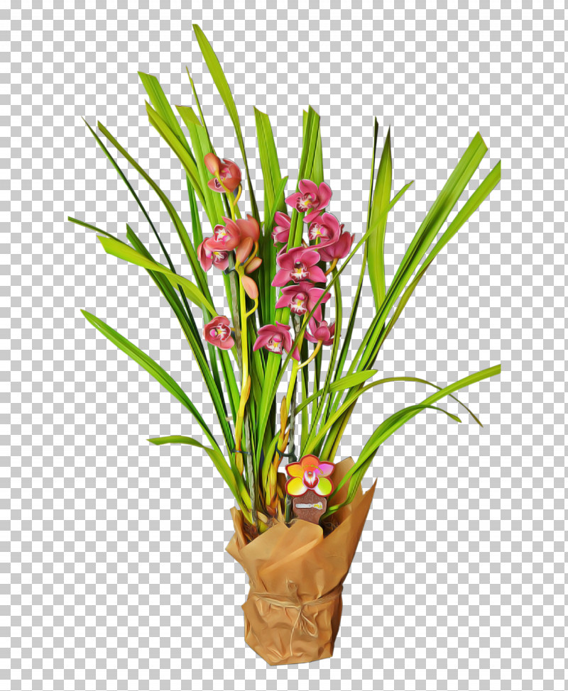 Floral Design PNG, Clipart, Boat Orchid, Color, Cut Flowers, Cymbidium Ensifolium, Floral Design Free PNG Download