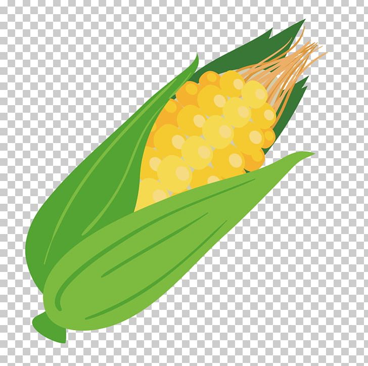 Corn On The Cob Maize Computer File PNG, Clipart, Cartoon Corn, Commodity, Corn, Corn Cartoon, Corn Flakes Free PNG Download