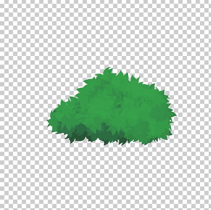 Leaf PNG, Clipart, Grass, Green, Leaf, Tree Free PNG Download