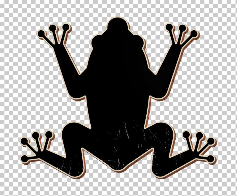 Tropical Frop Icon Animals Icon Amphibian Icon PNG, Clipart, Animals Icon, Icon Design, Web Typography Free PNG Download