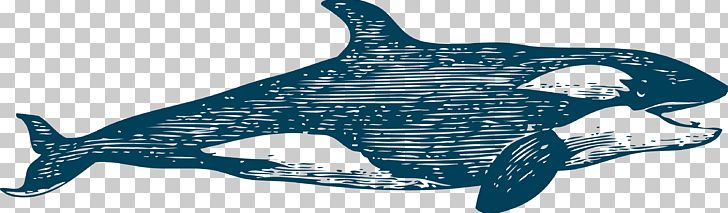 Common Bottlenose Dolphin Tucuxi Whale PNG, Clipart, Animal, Animal Figure, Blue, Cetacea, Dick Free PNG Download