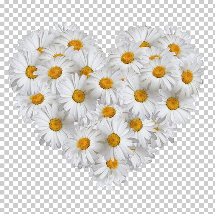 Flower Bouquet Matricaria Birthday Gift Love PNG, Clipart,  Free PNG Download