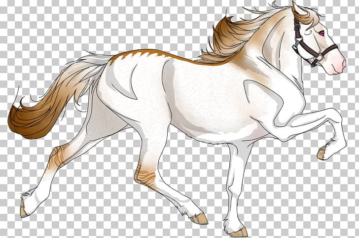 Foal Mane Stallion Colt Mare PNG, Clipart, Artwork, Bella, Bridle, Cartoon, Colt Free PNG Download