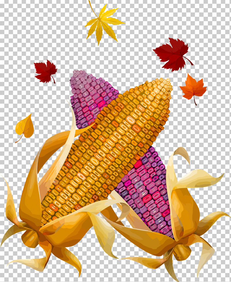 Thanksgiving Harvest PNG, Clipart, Biology, Commodity, Flower, Harvest, Petal Free PNG Download
