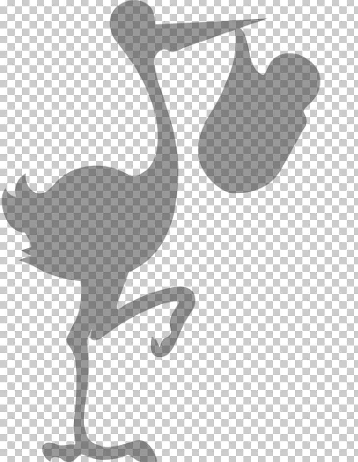 Mr. Stork Duck Crane PNG, Clipart, Beak, Bird, Black And White, Child, Ciconiiformes Free PNG Download