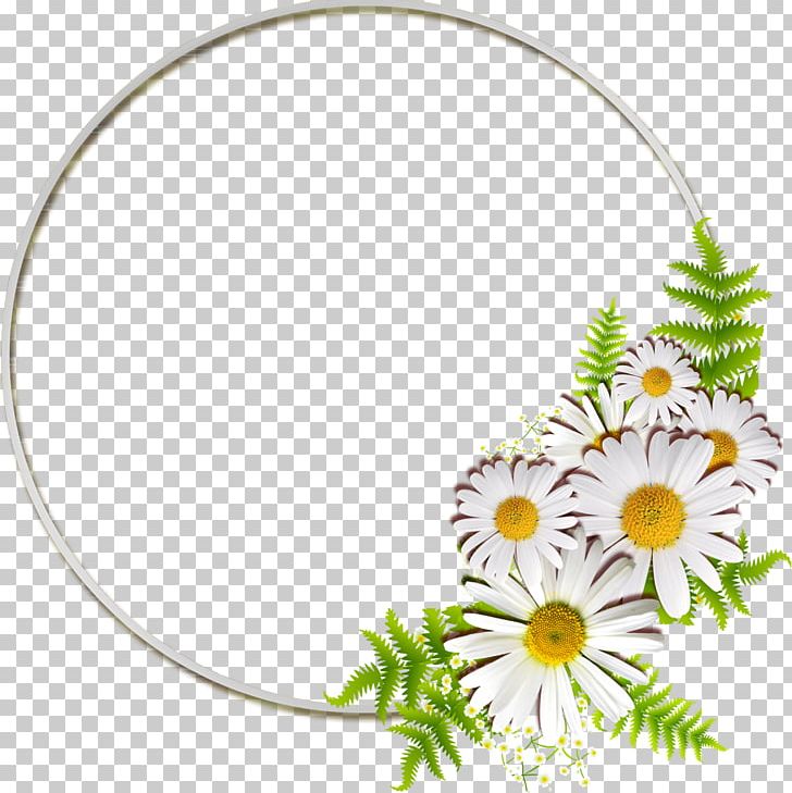 Psalms Photography Bible Quotation Proverb PNG, Clipart, Bible, Body Jewelry, Cut Flowers, Daisy, Flora Free PNG Download