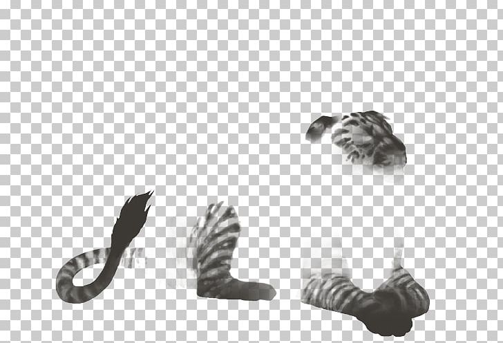 Cat Tail PNG, Clipart, Animals, Black And White, Cat, Cat Like Mammal, Parnassius Glacialis Free PNG Download