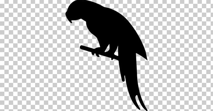 Parrot Bird Silhouette Animal PNG, Clipart, Animal, Animals, Beak, Bird, Black Free PNG Download