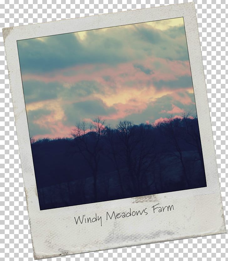 You'll Never Find A Rainbow If You're Looking Down Frames Farm Rectangle Windy PNG, Clipart, Farm, Looking Down, Picture Frames, Rainbow, Rectangle Free PNG Download