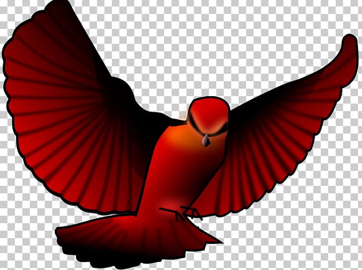 Bird Northern Cardinal PNG, Clipart, Angry Birds, Angry Birds Movie, Beak, Bird, Free Content Free PNG Download