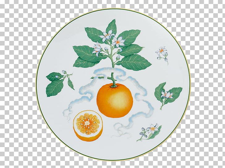 Citrus Plate Mottahedeh & Company PNG, Clipart, Citrus, Dishware, Food, Fruit, Mottahedeh Company Free PNG Download