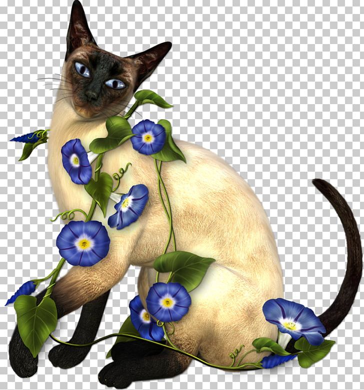 Siamese Cat Kitten Thai Cat PNG, Clipart, Animal, Animals, Avatar, Black Cat, Carnivoran Free PNG Download