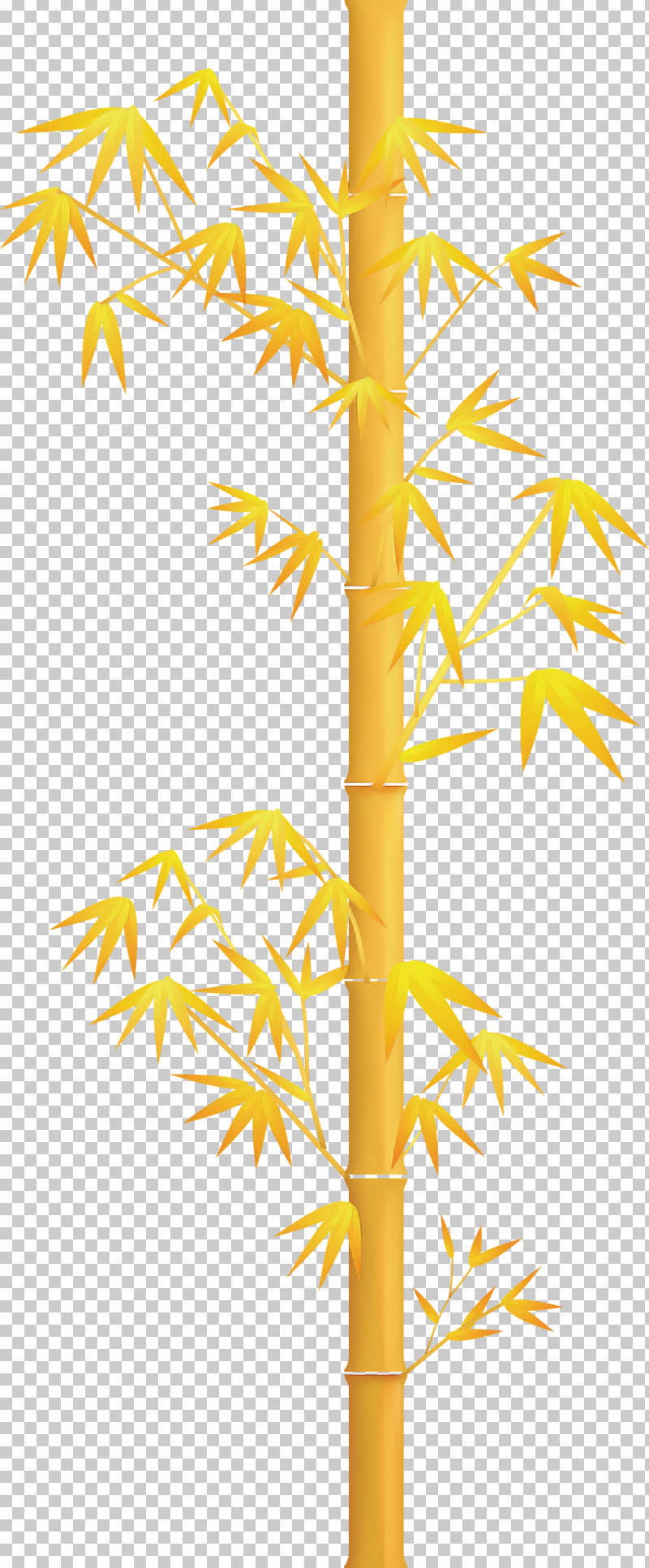Bamboo Leaf PNG, Clipart, Bamboo, Branch, Leaf, Line, Plant Free PNG Download