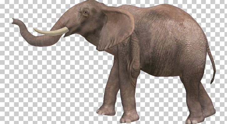 African Elephant Elephantidae Asian Elephant PNG, Clipart, Asian Elephant,  Computer Icons, Desktop Wallpaper, Display Resolution, Download
