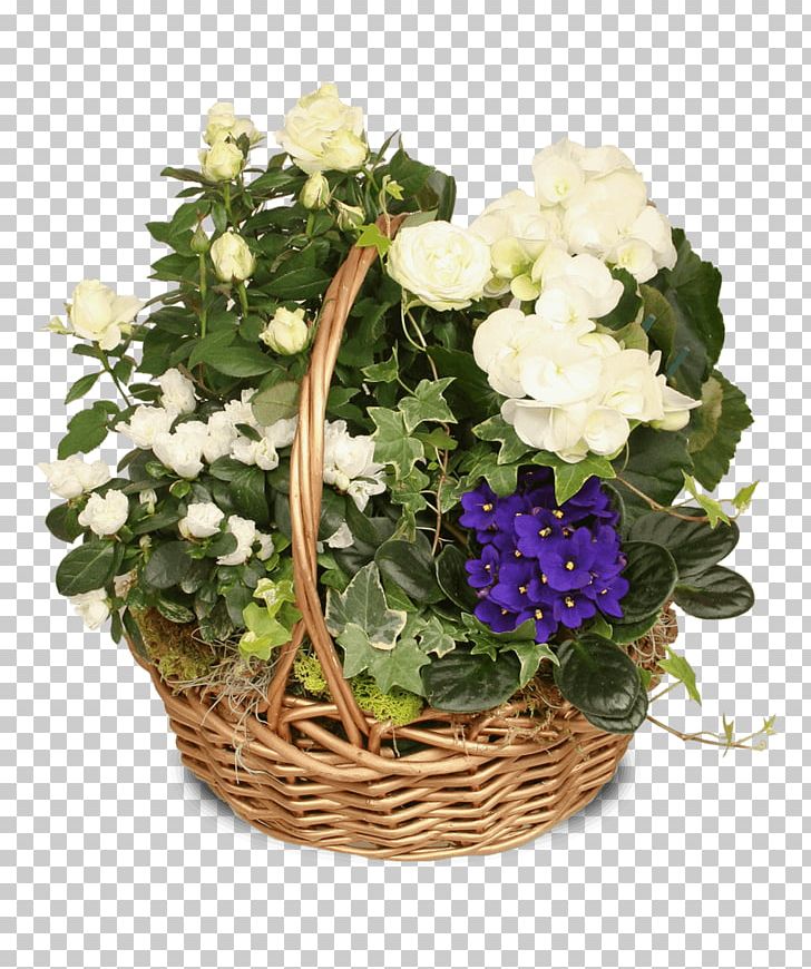 Flower Plant African Violets Floral Design PNG, Clipart, African Violets, Annual Plant, Basket, Blue, Color Free PNG Download