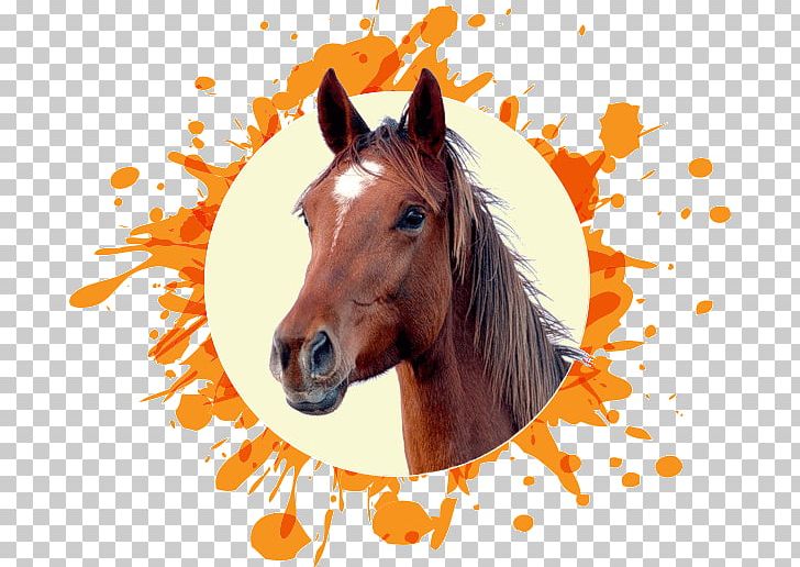 Horse Head Mask PNG, Clipart, Animal, Animals, Bridle, Colt, Computer Free PNG Download